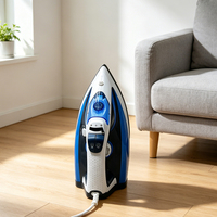 Fer à vapeur électrique portatif domestique avec semelle en céramique, réservoir d'eau de 300 ml, repassage à sec et vapeur, anti-calcaire pour tous les tissus