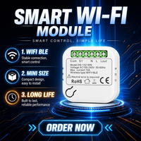 Interrupteur intelligent MINI avec 2 prises AC 10A 240V compatible WiFi, compatible avec Smart Life et les applications, blanc