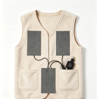 Kit de 3 láminas calefactoras de grafeno con un controlador para tres películas calefactoras, tamaño y voltaje personalizables para chalecos, chaquetas y pantalones con calefacción.