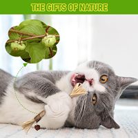 Mainan Kucing dari Batang Silvervine untuk Kucing Indoor, Mainan Kunyah Kucing dan Anak Kucing dari Matatabi Silvervine untuk Pengunyah Agresif, Membersihkan Gigi