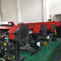 Impresora de Transferencia por Sublimación para Camisetas Myjet 60cm I3200 con Tinta Eco Solvente, Plotter de Vinilo Autoadhesivo