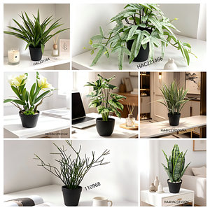 <span class=keywords><strong>Plante</strong></span> artificielle <span class=keywords><strong>Cosmos</strong></span> à 20 têtes, écologique et durable, en pot noir en plastique, pour la décoration de la maison et du bureau - Product Image 2