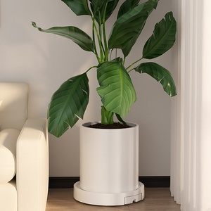 Plateau <span class=keywords><strong>à</strong></span> plantes multifonctionnel en plastique <span class=keywords><strong>pour</strong></span> bureau <span class=keywords><strong>à</strong></span> domicile et jardin, avec <span class=keywords><strong>roulettes</strong></span> dissimulées, <span class=keywords><strong>soucoupe</strong></span> <span class=keywords><strong>à</strong></span> <span class=keywords><strong>fleurs</strong></span> en acier durable, moderne et peu encombrant - Product Image 2