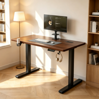 Bureau debout électrique moderne à hauteur réglable, ergonomique, en bois, facile à assembler, poste de travail pour bureau à domicile
