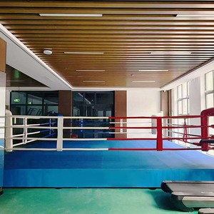5m * 5m Style d'art martial personnalisé utilise l'entraînement au <span class=keywords><strong>combat</strong></span> Mma Cage <span class=keywords><strong>ring</strong></span> <span class=keywords><strong>de</strong></span> <span class=keywords><strong>boxe</strong></span> - Product Image 3