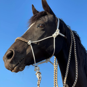 2025, venta al por mayor, logotipo personalizado, cuerda de nailon, equipo para caballos, Paracord, cabestros de nailon y cuerdas de plomo para caballos - Product Image 1