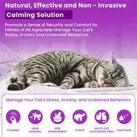 Personnalisez le diffuseur de phéromone calmant de chat de trois caractéristiques pour le chat