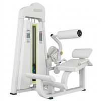 Machine d'extension dorsale commerciale directe usine, appareil de musculation robuste pour le dos et les abdominaux, équipement de crunch abdominal pour salle de sport