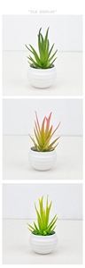 Mini Plante Succulente Artificielle <span class=keywords><strong>Aloe</strong></span> <span class=keywords><strong>Vera</strong></span> 7cm, Style Nordique Simple et Créatif, Origine Chine, pour Maison et <span class=keywords><strong>Bureau</strong></span> - Product Image 6