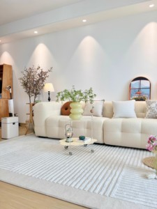 Grand <span class=keywords><strong>Tapis</strong></span> Neutre Moderne <span class=keywords><strong>Beige</strong></span> Doux et Gris Chaud Crème Épais Style Salon Extérieur <span class=keywords><strong>Tapis</strong></span> Décor - Product Image 5