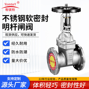 Guangdong Magnesium Special Gate Valve 304 Stainless Steel Flanged Soft Seal Double Gate Water Use - Product Image 5