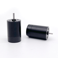 12V 24V Micro Dc Coreless Brushless Bldc Moteur à courant continu pour machine à tatouer Stylo de tatouage 16*25mm Haute vitesse