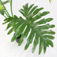 Grand arbre artificiel géant en pot sur pied, type oreille d'éléphant, en plastique, pour décoration extérieure de salle de conférence