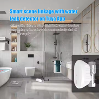 Vanne d'eau intelligente en gros Zigbee Tuya, vanne électrique intelligente Tuya avec contrôle de température