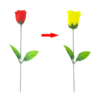 Roses décolorées (rouge change en jaune) Trucs de magie avec les roses Changement de couleur des roses pour la Saint-Valentin Trucs de magie avec les fleurs Jouets amusants