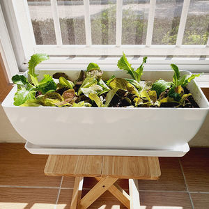 Jardinière rectangulaire en plastique durable et légère avec plateau de drainage pour usage intérieur/extérieur, balcon, jardin, patio, plantation d'herbes aromatiques à la maison - Product Image 2