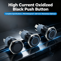 Sakelar Tombol Tekan LED Logam Hitam Pengunci Otomatis Arus Tinggi Ith20A Tahan Air Tahan Debu Pemasangan Panel 22mm 25mm