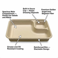25x17cm 2-delige milieuvriendelijke magnetronbestendige recyclebare saladebox met deksel van suikerrietbagasse, wegwerp schaal voor restaurants