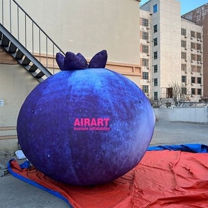 Ballons Publicitaires Gonflables en Tissu Oxford 420D, Ballon Myrtille Gonflable de Haute Qualité 3M - Product Image 2