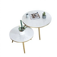 Table basse en marbre nordique avec table d'appoint en fer forgé et acier inoxydable, style moderne et simple, meubles de salon, usage domestique