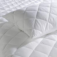 2 packs de housses d'oreiller imperméables à glissière pour les punaises de lit Hypoallergénique pour la maison, l'hôtel et l'hôpital Technique tissée