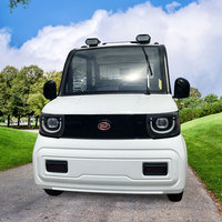 Camioneta Eléctrica Mini Potente con Motor de 1000W en Venta