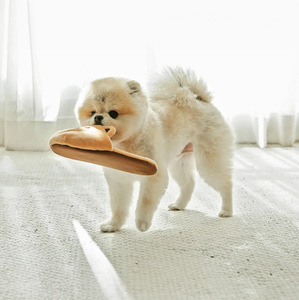 Jouet à mâcher pour chien en peluche, résistant aux morsures, en forme de pantoufle, éco-responsable, avec sifflet, prix de gros - Product Image 3