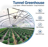 Mini serre tunnel agricole pour culture hivernale, serre tunnel en plastique, polytunnel