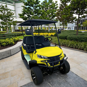 Carrito de Golf Personalizado a Precio Competitivo con Batería de Litio, Carrito de Golf Eléctrico de 4 Plazas para Caminos No Públicos - Product Image 2