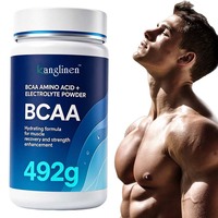 Poudre de boisson OEM BCAA aux acides aminés et électrolytes, favorise l'hydratation et la récupération post-entraînement, complément nutritionnel sportif