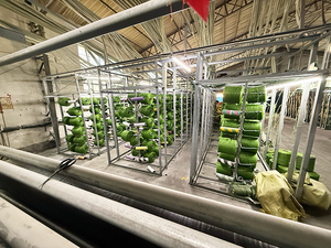 Césped Artificial Mirante, Césped Sintético, <span class=keywords><strong>Alfombra</strong></span> de Césped Artificial, Césped Artificial para Uso en Construcción - Product Image 3