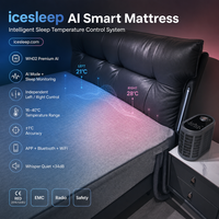 Surmatelas rafraîchissant silencieux 34 dB sans frais d'abonnement, tissu 60 fils, 300 fils au pouce carré, ensemble de lit de luxe pleine grandeur Icesleep