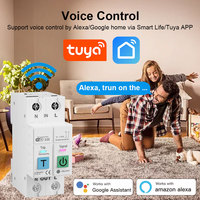 Disjoncteur intelligent Wi-Fi 63A pour la consommation d'énergie, 2P, avec protection contre les fuites, relais temporisé, contrôle par application