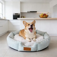 Achteckiges Kurzplüsch-Hundebett mit Rutschfestem Boden, Katzenhaus, Ganzjahres-Katzensofa für Kleine und Mittelgroße Hunde und Katzen, Innenbereich-Ruheplatz