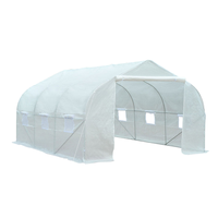 6x3x2m Kit de serre gothique moderne tout métal galvanisé cerceau maison pour jardin arrière-cour facilement assemblé pour culture hydroponique