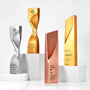 Trophée créatif en résine, médaille peinte luxueuse et élégante, récompense pour réunion annuelle, personnalisation par gravure - Product Image 3