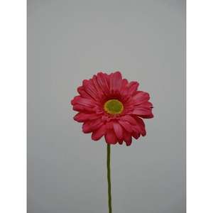 GERBERA SPRAY X1 63CM FU - Product Image 1
