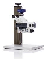 Microscopio Binoculare/Trinoculare Axioscope5/7 con Messa a Fuoco Manuale, Grado di Protezione IP53, Progettato per l'Imaging Ottico in Laboratorio di Materiali