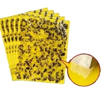 Plaques collantes jaunes écologiques non toxiques, double face, haute viscosité, non séchantes, aide à la lutte antiparasitaire