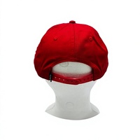 Op maat gemaakte logo borduring multi-color Oxford 100% katoenen baseballcap met verstelbare metalen gespsluiting unisex volwassenen alle seizoenen