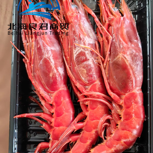 Langostinos Carabinero Congelados con Gran Sabor para Restaurantes, Hoteles y Servicios de Catering, Compre Ahora - Product Image 1