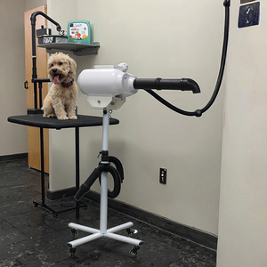 Asciugacapelli Professionale PURFY a 360 Gradi per Toelettatura di Cani e <span class=keywords><strong>Gatti</strong></span>, Supporto per Asciugatura e Soffiatura per Toelettatori Professionisti - Product Image 2