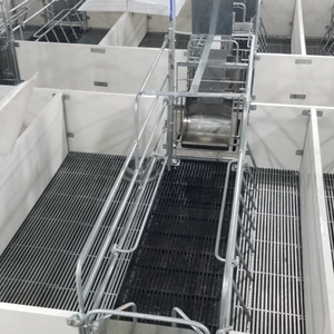 Jaulas de Parto para Cerdas Fabricadas en Vietnam, de Acero Inoxidable, Precio Económico, L2400 x W1800, Reducen la Tasa de Abortos - Product Image 1