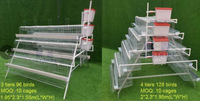 Équipement de Système d'Élevage Avicole pour Poules Pondeuses, Cage en Batterie pour Poulets Pondeurs à Vendre