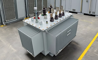Transformateurs immergés dans l'huile 30 kVA 10 kV triphasés 50/60 Hz avec sortie 0,4 kV, structure fiable, fournis par l'usine SinoShine