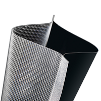 Sacs sous vide jetables en PA/PE de qualité alimentaire, imprimés par gravure, thermoscellables, pour l'emballage du sucre, vente en gros HL PACK WLZK006