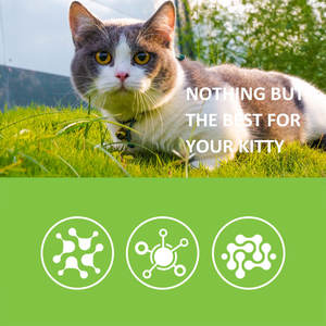 Gouttes probiotiques liquides pour chat 60ml Complément alimentaire <span class=keywords><strong>Vermifuge</strong></span> pour chat Soutien de la santé intestinale des <span class=keywords><strong>animaux</strong></span> de compagnie Booster de santé immunitaire - Product Image 5