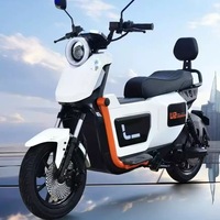 HONGYI Moto électrique personnalisable 800W 60V avec moteur de moyeu arrière, batterie au plomb amovible, cadre en acier, intelligente