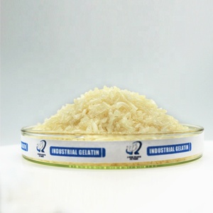 Gélatine de qualité alimentaire halal en vrac de Henan Eking Supply, issue de peau de bœuf : Ingrédient alimentaire riche en collagène idéal - Product Image 2