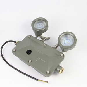 Lampe à double tête anti-explosion IP65, rechargeable, LED, 120 minutes d'autonomie en cas d'urgence, avec batterie, garantie 3 ans - Product Image 1